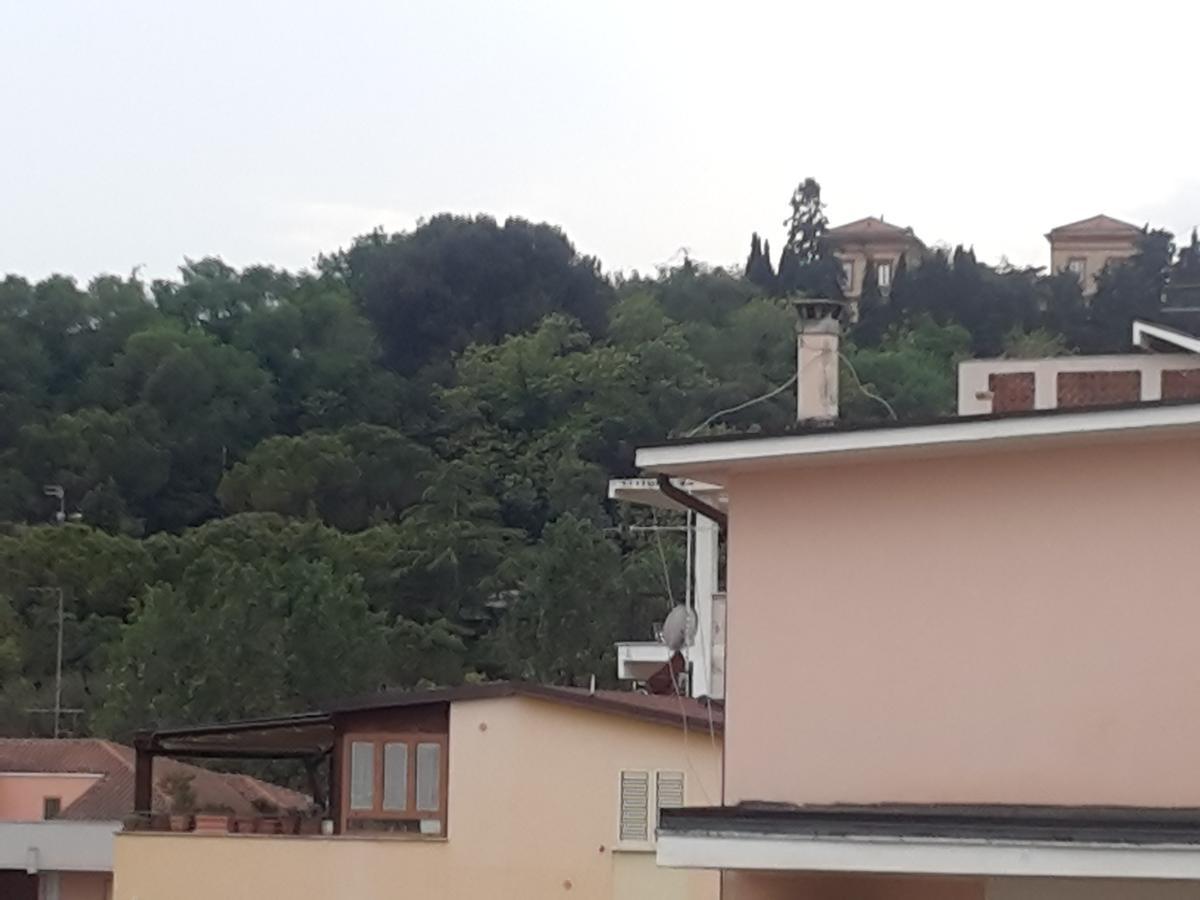 Hotel Antares Garni Giulianova Bagian luar foto